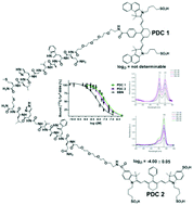 Graphical abstract: Probing two PESIN-indocyanine-dye-conjugates: significance of the used fluorophore