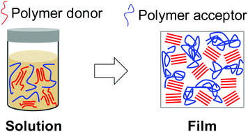 Graphical abstract: Effect of polymer donor aggregation on the active layer morphology of amorphous polymer acceptor-based all-polymer solar cells