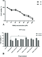 Graphical abstract: The protective effect of thymoquinone on tert-butylhydroquinone induced cytotoxicity in human umbilical vein endothelial cells