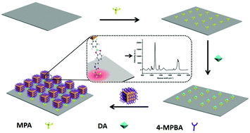 Graphical abstract: Silver nanocube coupling with a nanoporous silver film for dual-molecule recognition based ultrasensitive SERS detection of dopamine