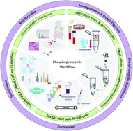 Graphical abstract: Phosphoproteomic strategies in cancer research: a minireview