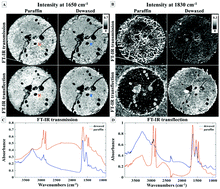 Graphical abstract: Influence of interference effects on the spectral quality and histological classification by FT-IR imaging in transflection geometry