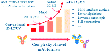Graphical abstract: Multi-dimensional LC-MS: the next generation characterization of antibody-based therapeutics by unified online bottom-up, middle-up and intact approaches