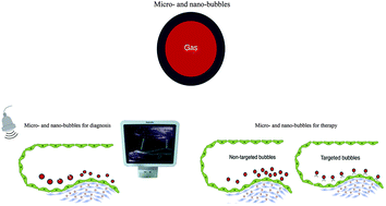 Graphical abstract: Recent advances in micro- and nano-bubbles for atherosclerosis applications