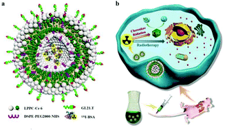 Graphical abstract: A chlorin-lipid nanovesicle nucleus drug for amplified therapeutic effects of lung cancer by internal radiotherapy combined with the Cerenkov radiation-induced photodynamic therapy