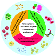 Graphical abstract: Design of nanoengineered antibacterial polymers for biomedical applications