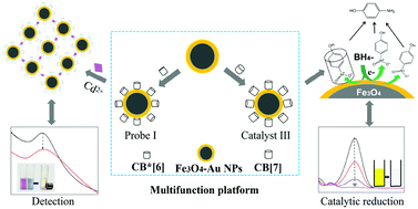 Graphical abstract: Cucurbiturils regulating Fe3O4–Au nanoparticles as a multi-functional platform for Cd2+ sensing and nitrocompound catalysis