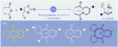 Graphical abstract: Palladium-catalysed cyclisation of vinylethylene carbonates and anhydrides: a new approach to diverse medium-sized bislactones