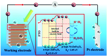 Graphical abstract: Zinc ferrite-based p–n homojunction with multi-effect for efficient photoelectrochemical water splitting