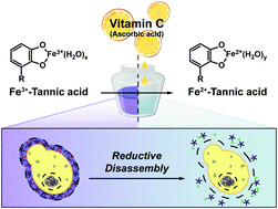 Graphical abstract: Ascorbic acid-mediated reductive disassembly of Fe3+-tannic acid shells in degradable single-cell nanoencapsulation