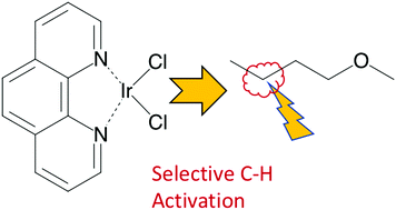 Graphical abstract: Remote functional group directed C–H activation by an Ir(iii) phenanthroline complex
