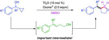 Graphical abstract: Synthesis of 3-benzylidenetetrahydrofurans: Tf2O-catalyzed hydroxylation/cyclization of cyclopropanemethanols with DMSO