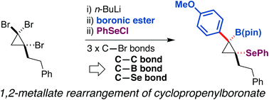 Graphical abstract: Synthesis of functionalized cyclopropylboronic esters based on a 1,2-metallate rearrangement of cyclopropenylboronate