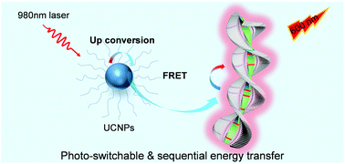 Graphical abstract: Near-infrared photon-excited energy transfer in platinum(ii)-based supramolecular polymers assisted by upconverting nanoparticles