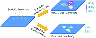 Graphical abstract: Chemical vapor deposition of clean and pure MoS2 crystals by the inhibition of MoO3−x intermediates