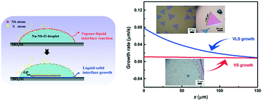 Graphical abstract: Interfaces determine the nucleation and growth of large NbS2 single crystals