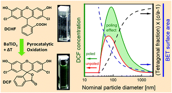 Graphical abstract: Pyrocatalytic oxidation – strong size-dependent poling effect on catalytic activity of pyroelectric BaTiO3 nano- and microparticles