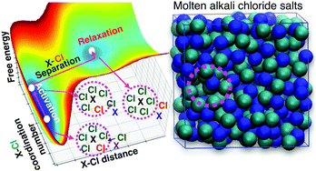 Graphical abstract: Structure and dynamics of the molten alkali-chloride salts from an X-ray, simulation, and rate theory perspective