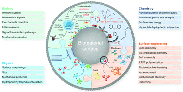 Graphical abstract: Biological responses to physicochemical properties of biomaterial surface