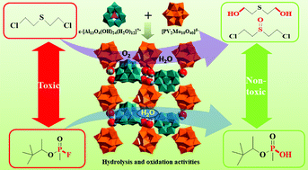Graphical abstract: A dual-function all-inorganic intercluster salt comprising the polycation ε-[Al13O4(OH)24(H2O)12]7+ and polyanion α-[PMo10V2O40]5− for detoxifying sulfur mustard and soman
