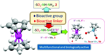 Graphical abstract: Novel multifunctional and multitarget homo- (Fe2) and heterobimetallic [(Fe,M) with M = Re or Mn] sulfonyl hydrazones