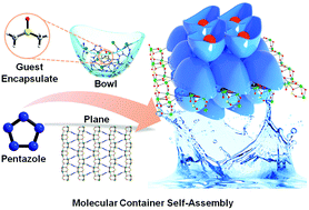 Graphical abstract: A pentazolate-based bowl-shaped molecular container