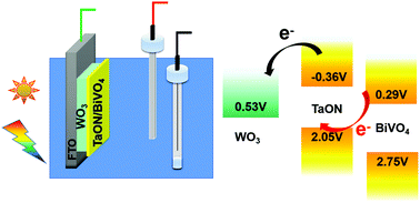 Graphical abstract: Solar water oxidation using TaON–BiVO4 photoanodes functionalized with WO3