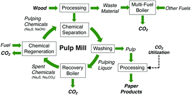 Graphical abstract: Prospects for bioenergy with carbon capture & storage (BECCS) in the United States pulp and paper industry