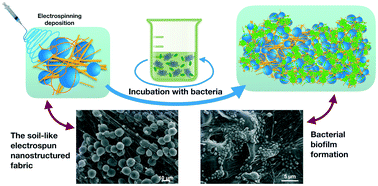 Graphical abstract: A 3D soil-like nanostructured fabric for the development of bacterial biofilms for agricultural and environmental uses