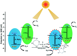 Graphical abstract: A highly efficient photoelectrochemical sensor for detection of chlorpyrifos based on 2D/2D β-Bi2O3/g-C3N4 heterojunctions