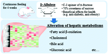 Graphical abstract: Effect of d-allulose feeding on the hepatic metabolomics profile in male Wistar rats