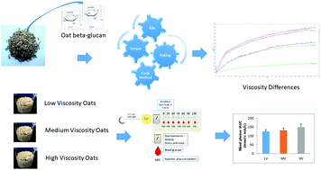 Graphical abstract: Effect of processing on oat β-glucan viscosity, postprandial glycemic response and subjective measures of appetite