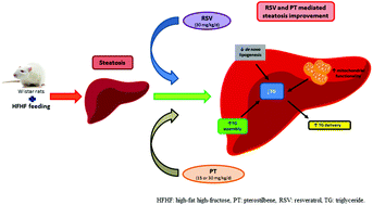 Graphical abstract: Pterostilbene modifies triglyceride metabolism in hepatic steatosis induced by high-fat high-fructose feeding: a comparison with its analog resveratrol