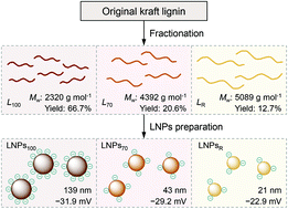 Graphical abstract: A simple and effective approach to fabricate lignin nanoparticles with tunable sizes based on lignin fractionation