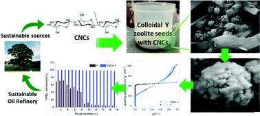 Graphical abstract: Cellulose nanocrystals (CNCs) as hard templates for preparing mesoporous zeolite Y assemblies with high catalytic activity