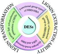 Graphical abstract: Structure–function relationships of deep eutectic solvents for lignin extraction and chemical transformation