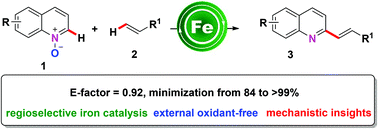Graphical abstract: Waste-minimized synthesis of C2 functionalized quinolines exploiting iron-catalysed C–H activation