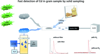 Graphical abstract: Novel solid sampling electrothermal vaporization atomic absorption spectrometry for fast detection of cadmium in grain samples
