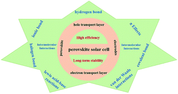 Graphical abstract: Interaction engineering in organic–inorganic hybrid perovskite solar cells