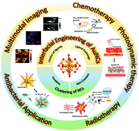 Graphical abstract: Interfacial engineering of gold nanoclusters for biomedical applications