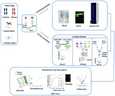 Graphical abstract: Proteomics in idiopathic pulmonary fibrosis: the quest for biomarkers