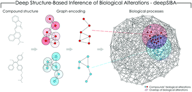 Graphical abstract: DeepSIBA: chemical structure-based inference of biological alterations using deep learning