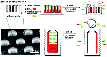 Graphical abstract: A fluorous biphase drug delivery system triggered by low frequency ultrasound: controlled release from perfluorous discoidal porous silicon particles