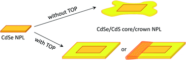 Graphical abstract: CdS crown growth on CdSe nanoplatelets: core shape matters