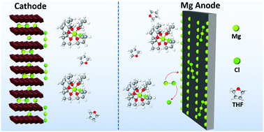 Graphical abstract: Interfaces in rechargeable magnesium batteries
