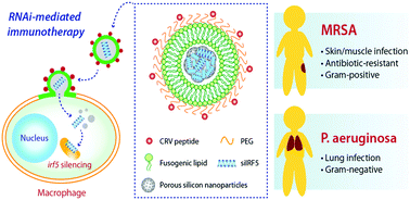 Graphical abstract: Fusogenic porous silicon nanoparticles as a broad-spectrum immunotherapy against bacterial infections