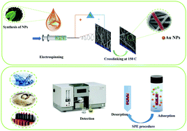 Graphical abstract: Using PVA/CA/Au NPs electrospun nanofibers as a green nanosorbent to preconcentrate and determine Pb2+ and Cu2+ in rice samples, water sources and cosmetics