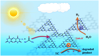 Graphical abstract: Copolymerization of urea and murexide for efficient photocatalytic hydrogen evolution and tetracycline degradation