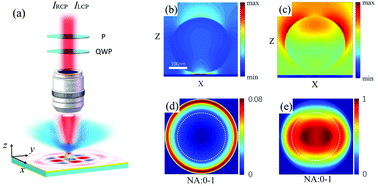 Graphical abstract: Mapping the near-field spin angular momenta in the structured surface plasmon polariton field