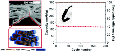 Graphical abstract: Branched aramid nanofiber-polyaniline electrodes for structural energy storage